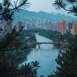 上海老年人游玩